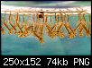         

:  250px-Culex_sp_larvae.png
:  413
:  74,0 KB