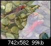         

:  Fish2.jpg
:  640
:  99,4 KB