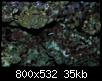         

:  2 302.jpg
:  423
:  35,4 KB