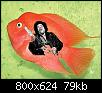         

:  parrot hendrix.jpg
:  731
:  79,4 KB