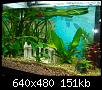         

:  aquarium 003.jpg
:  555
:  151,2 KB