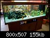         

:  aquarium_job.jpg
:  5215
:  155,3 KB