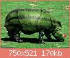         

:  Animals-or-Plants.jpg
:  471
:  170,1 KB