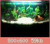         

:  New aquarium.jpg
:  422
:  59,2 KB