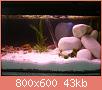         

:  aquarium 26-2-11 003.jpg
:  229
:  42,7 KB