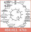         

:  drosophila-melanogaster-life-cycle.jpg
:  410
:  46,6 KB