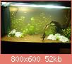         

:  aquarium12.jpg
:  399
:  52,4 KB