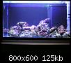         

:  Nano reef 02.jpg
:  767
:  125,4 KB