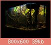         

:  aquarium2.jpg
:  399
:  38,5 KB