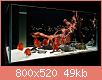         

:  16_1aquarium_red_discus_fishtank.jpg
:  707
:  49,5 KB