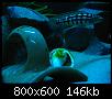         

:  nightvisionJulidochromis.jpg
:  327
:  146,3 KB