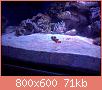         

:  CAM00246.jpg
:  297
:  71,2 KB