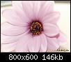         

:  Flower2.jpg
:  390
:  145,8 KB
