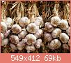         

:  garlic.jpg
:  457
:  68,9 KB