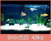         

:  aquarium_2.jpg
:  307
:  49,2 KB
