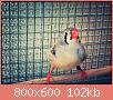         

:  aviary-image-1469797948924.jpg
:  229
:  102,2 KB