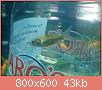         

:  fish 2.jpg
:  239
:  43,5 KB