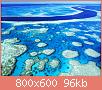         

:  coral 2.jpg
:  606
:  95,5 KB