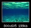         

:  under water.jpg
:  392
:  199,4 KB