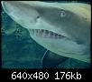         

:  Crete_Aquarium006.jpg
:  332
:  176,2 KB