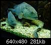         

:  Crete_Aquarium007.jpg
:  338
:  280,9 KB