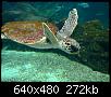         

:  Crete_Aquarium009.jpg
:  301
:  271,6 KB