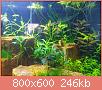         

:  Aquarium 5.jpg
:  360
:  245,9 KB