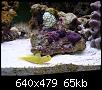         

:  billy reef 259 (Small).jpg
:  257
:  64,8 KB
