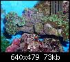         

:  billy reef 217 (Small).jpg
:  255
:  72,9 KB