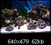         

:  billy reef 253 (Small).jpg
:  247
:  61,9 KB