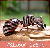         

:  Hybrid-Animals1.jpg
:  423
:  125,7 KB