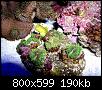         

:  billy reef 444.jpg
:  508
:  189,6 KB