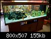         

:  aquarium_job.jpg
:  5210
:  155,3 KB