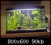         

:  Aquarium 029.jpg
:  299
:  90,1 KB