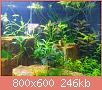         

:  Aquarium 5.jpg
:  356
:  245,9 KB