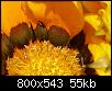         

:  P5180005-d1.jpg
:  264
:  55,3 KB