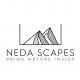  avatar   Neda Scapes