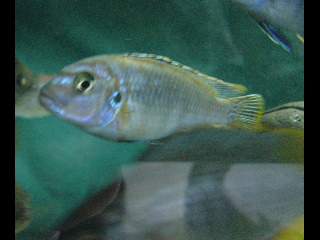 DSC06244
