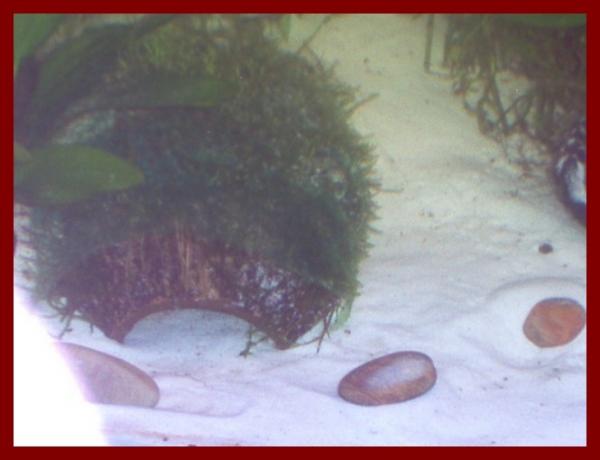 100 liters001