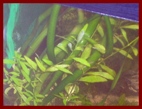 100 liters002