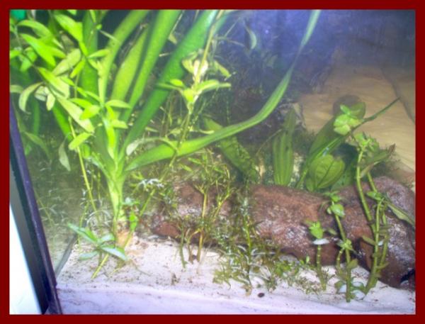 100 liters004