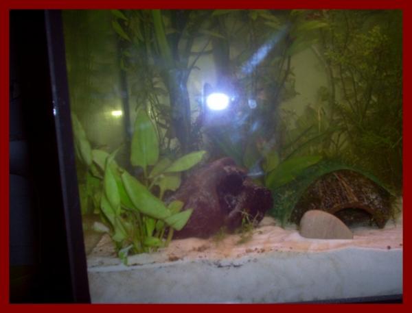 100 liters005