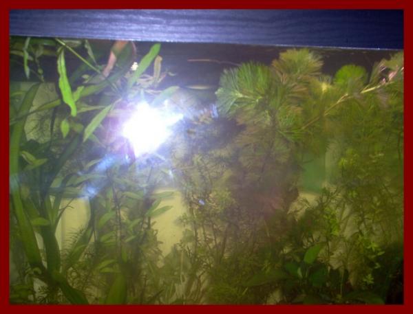 100 liters007