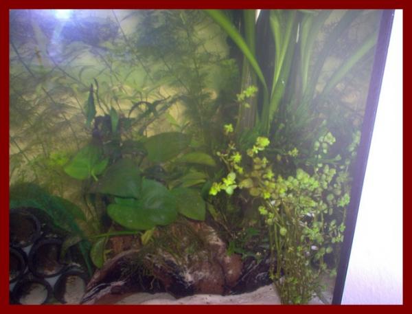 100 liters008