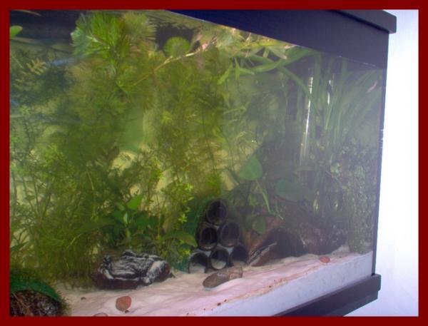 100 liters009
