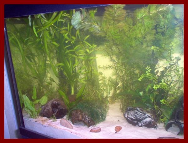 100 liters010