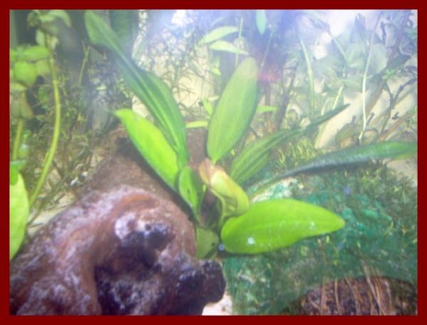 100 liters012