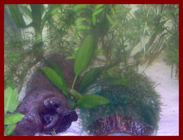100 liters013