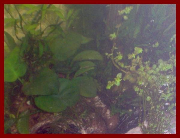100 liters014