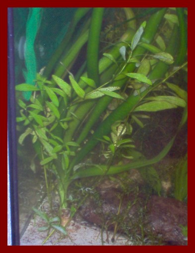 100 liters016